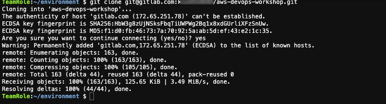 clone-output